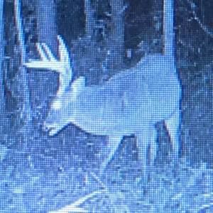 Meet your Posher, Roger